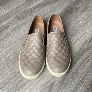 Steve Madden | Ecentrcq Sneaker